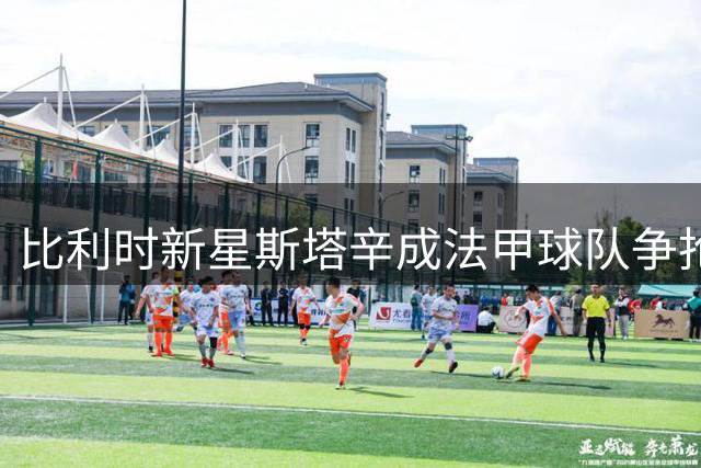 比利时新星斯塔辛成法甲球队争抢目标